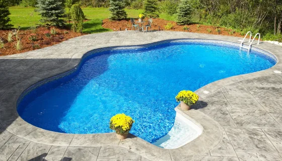 Backyard swimming pool